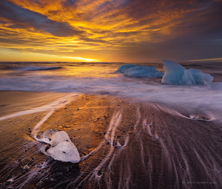 Wild Surf