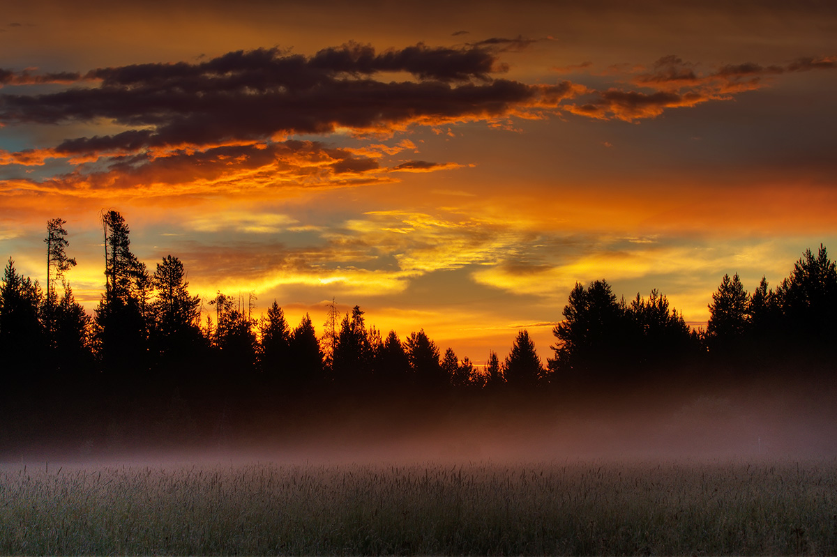Foggy Sunrise