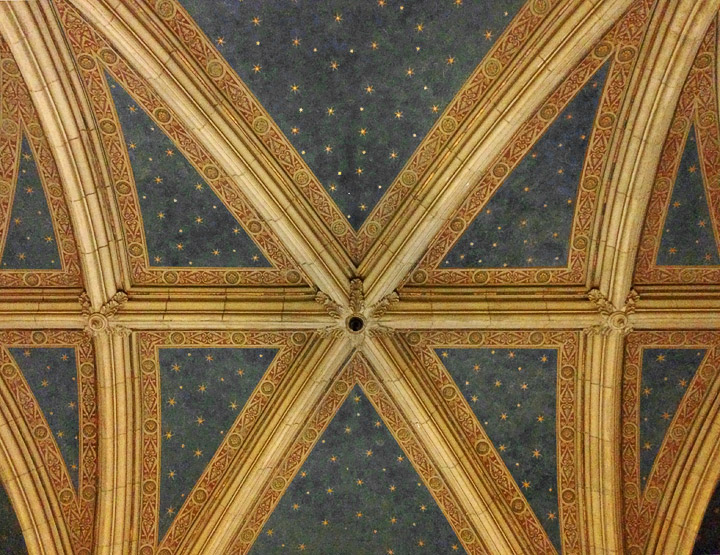 Looking Up