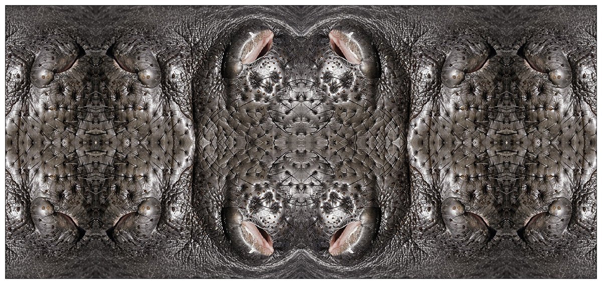 Playing With Mirrors #1