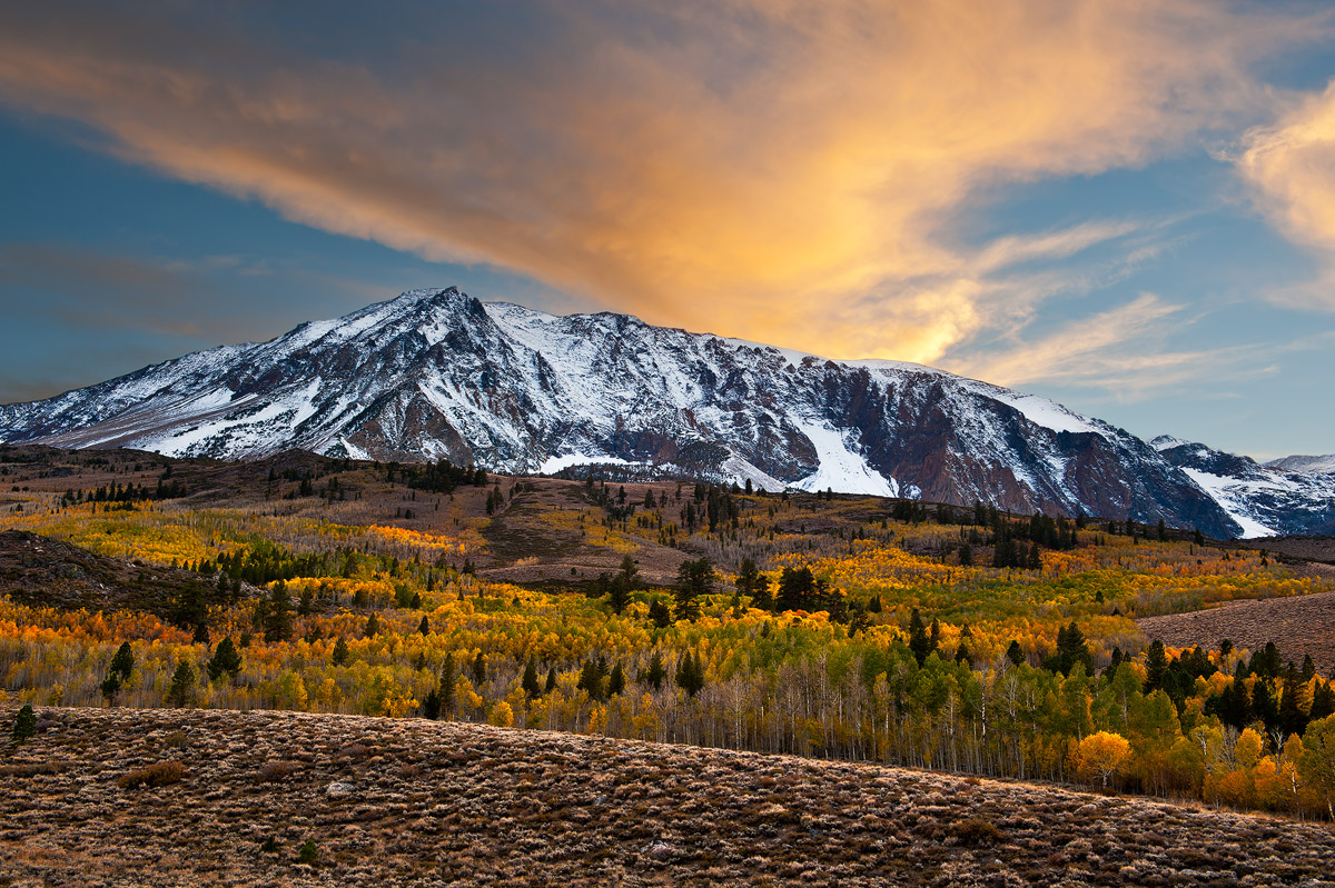 Fall on the East Side
