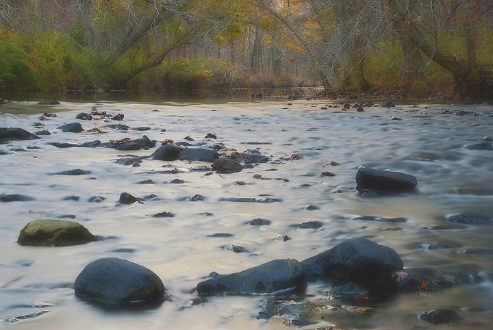 Fall in Salado