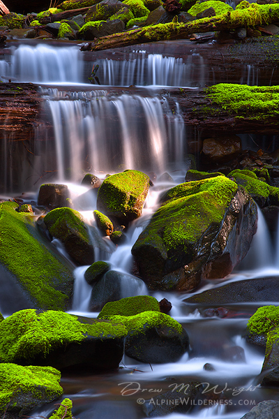Sol Duc Spring