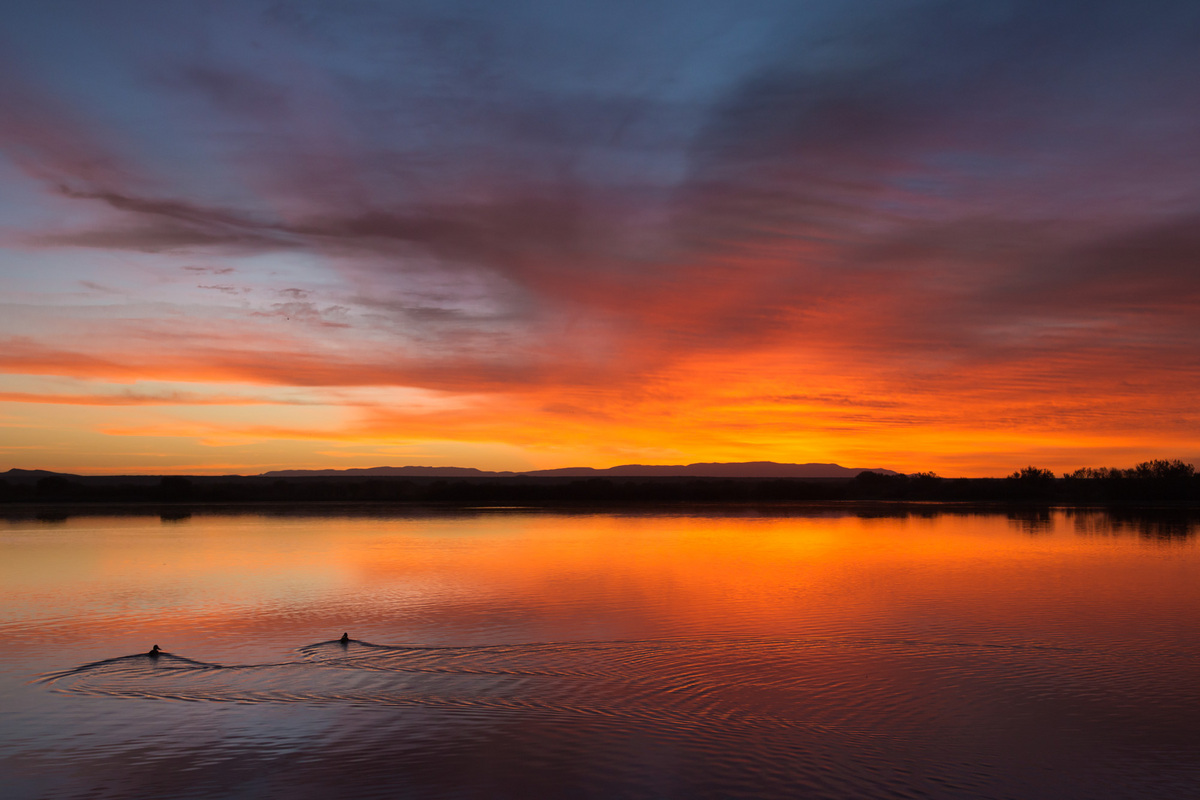 Into the Dawn