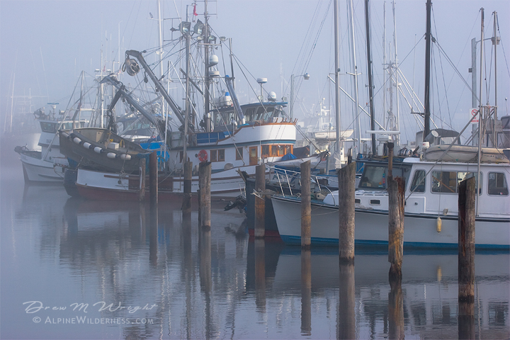 Fishermans Terminal