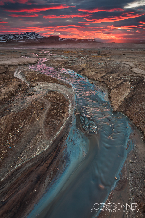 Stream of Life
