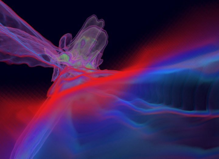 Phalaenopsis abstract
