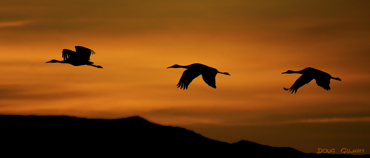 Sandhills at Sunrise