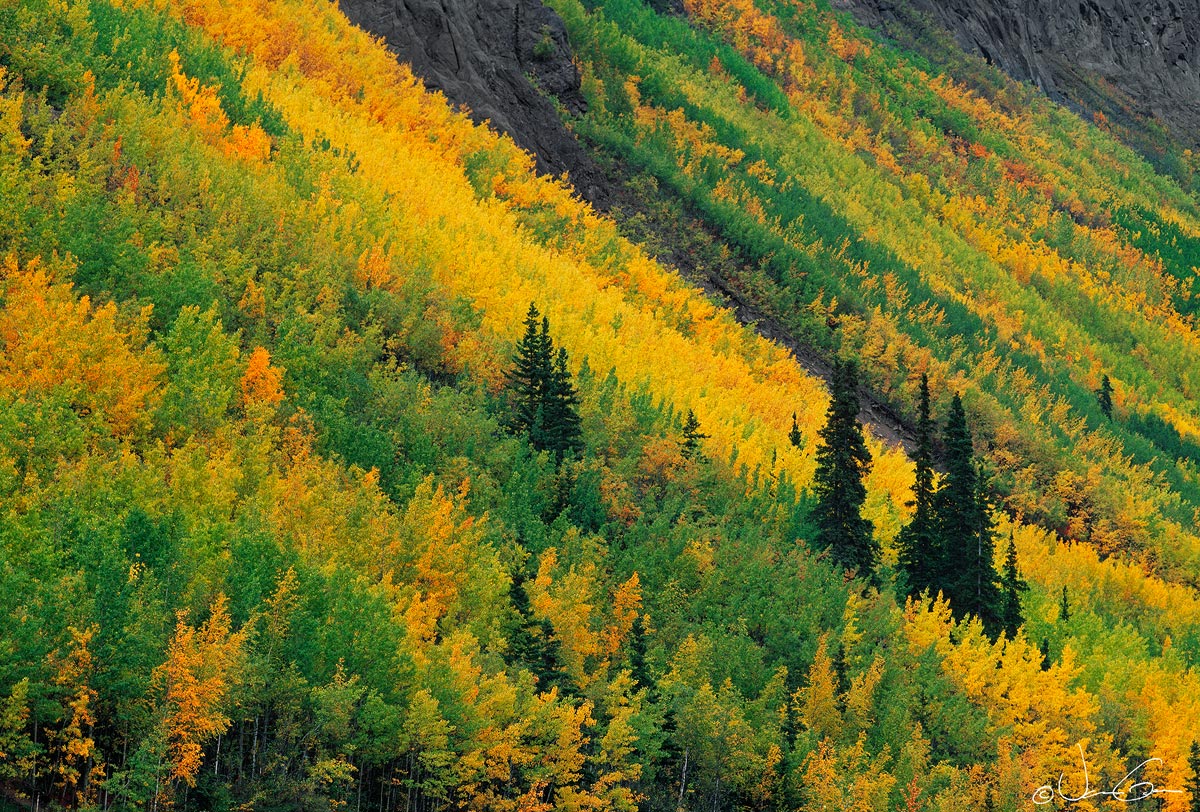 Autumn Hillside