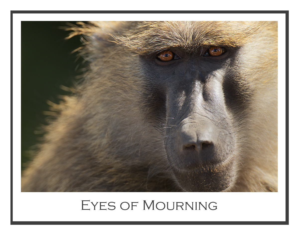 Eyes of Mourning