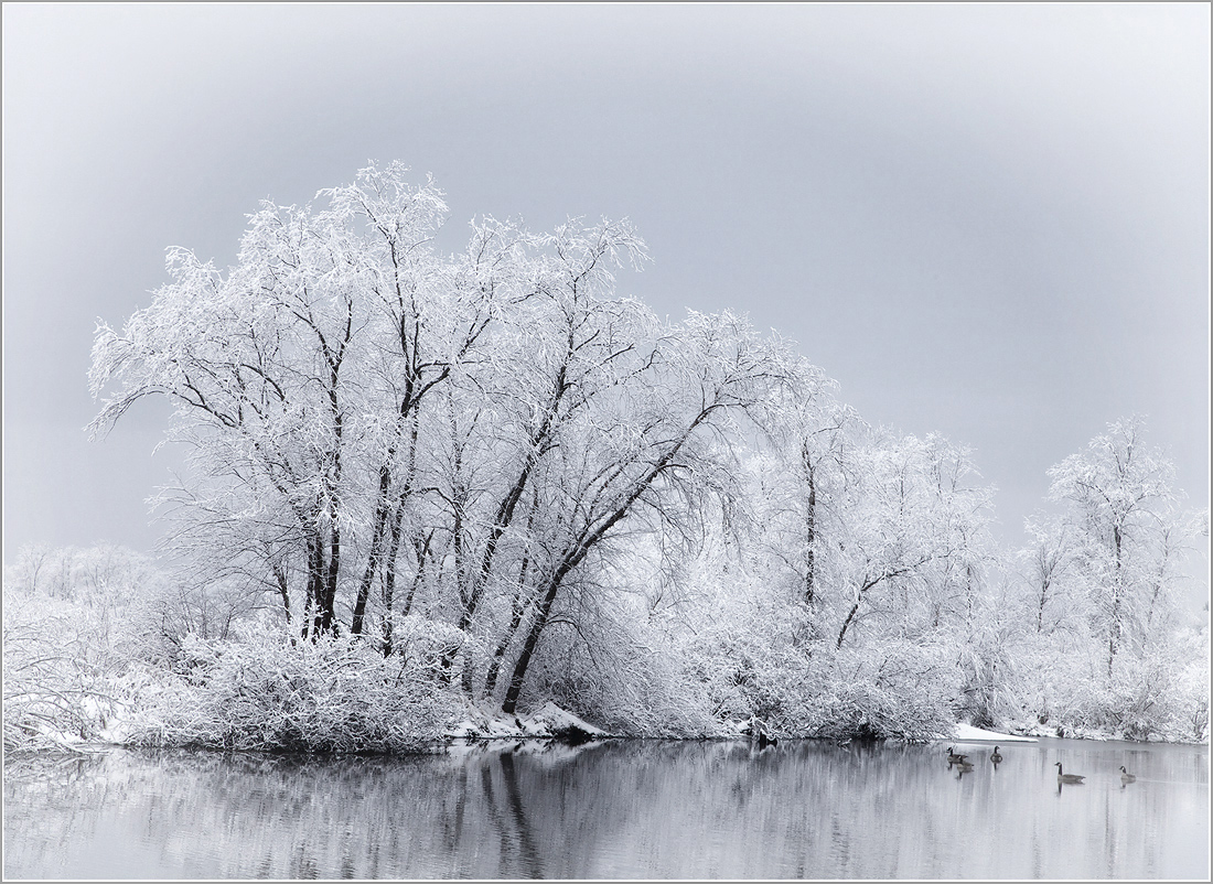 A Winter Morning
