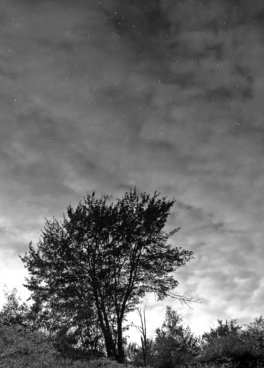 Day & Night +
