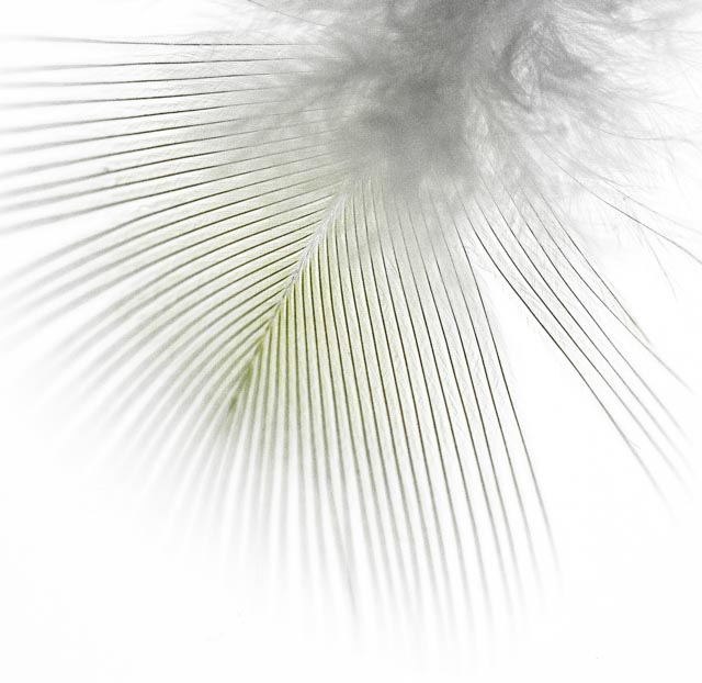 Paths