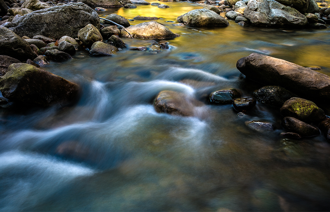 Reflections on Red Creek