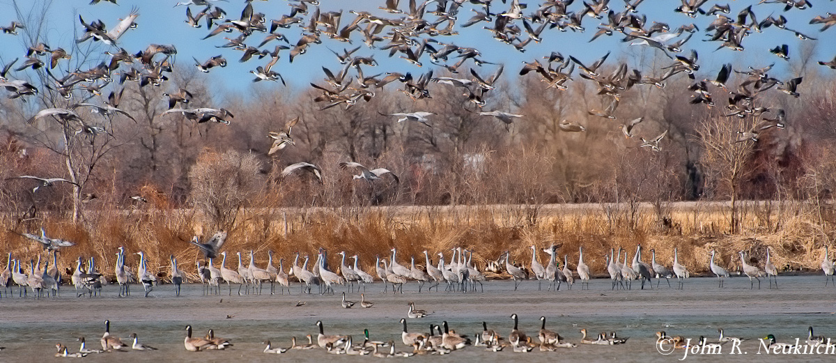Platte Party