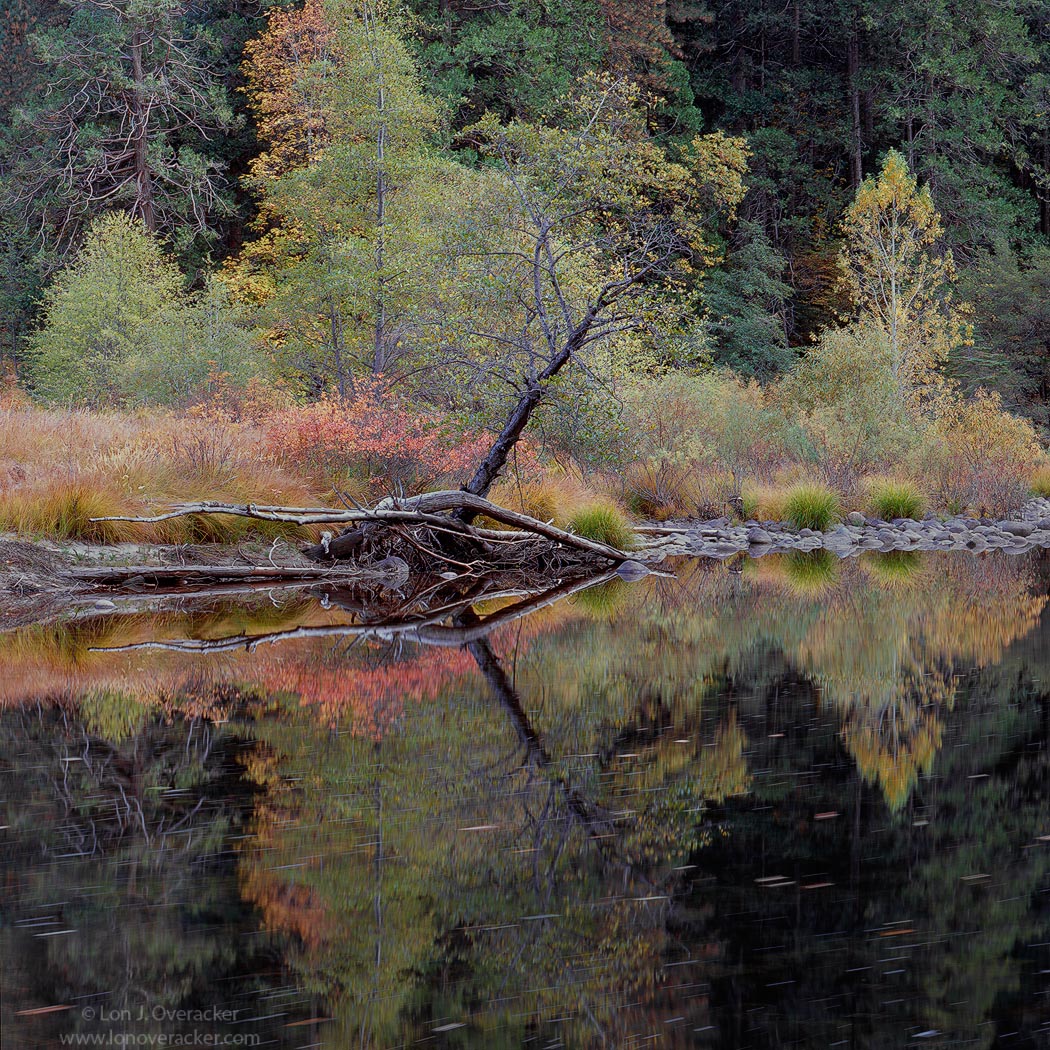 Yosemite Moments#12+rp