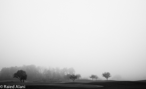 Morning Golf