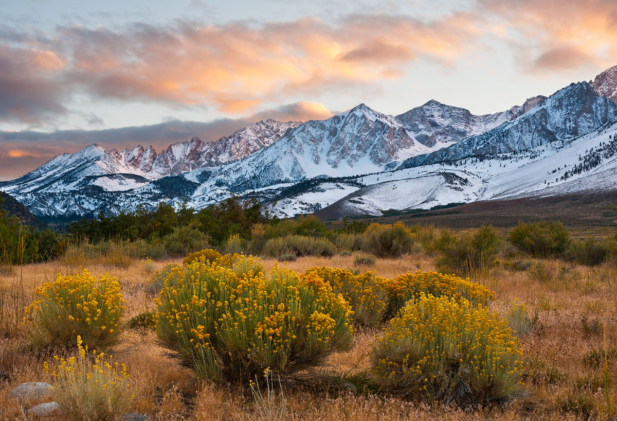 Fall in the Buttermilks