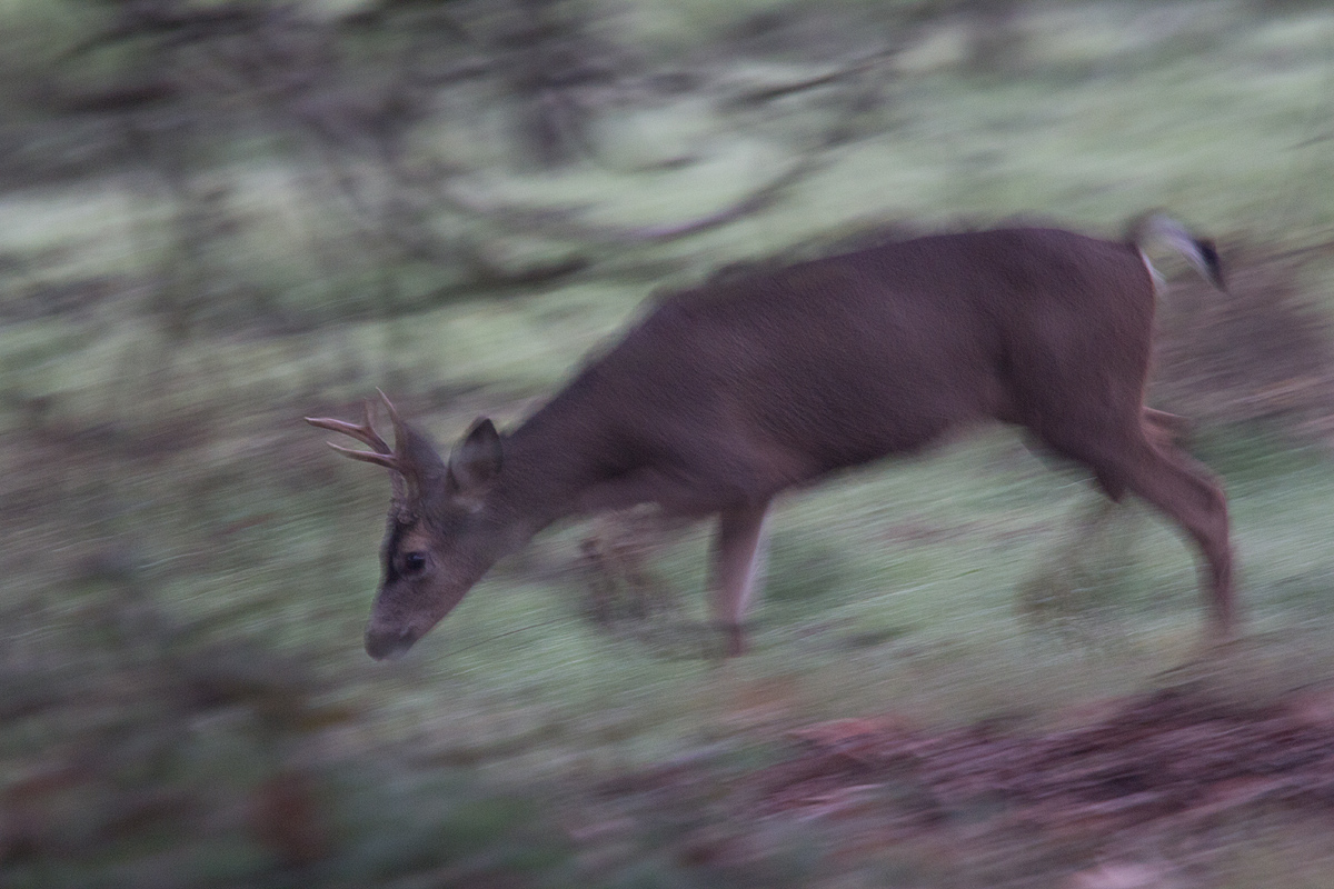 Trying to Sneak By