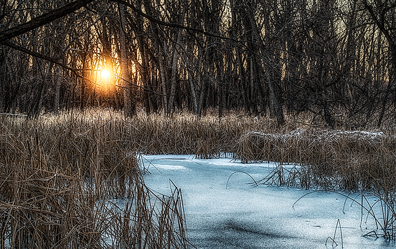 Marsh at Dawn