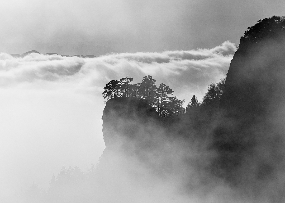 Out of the fog