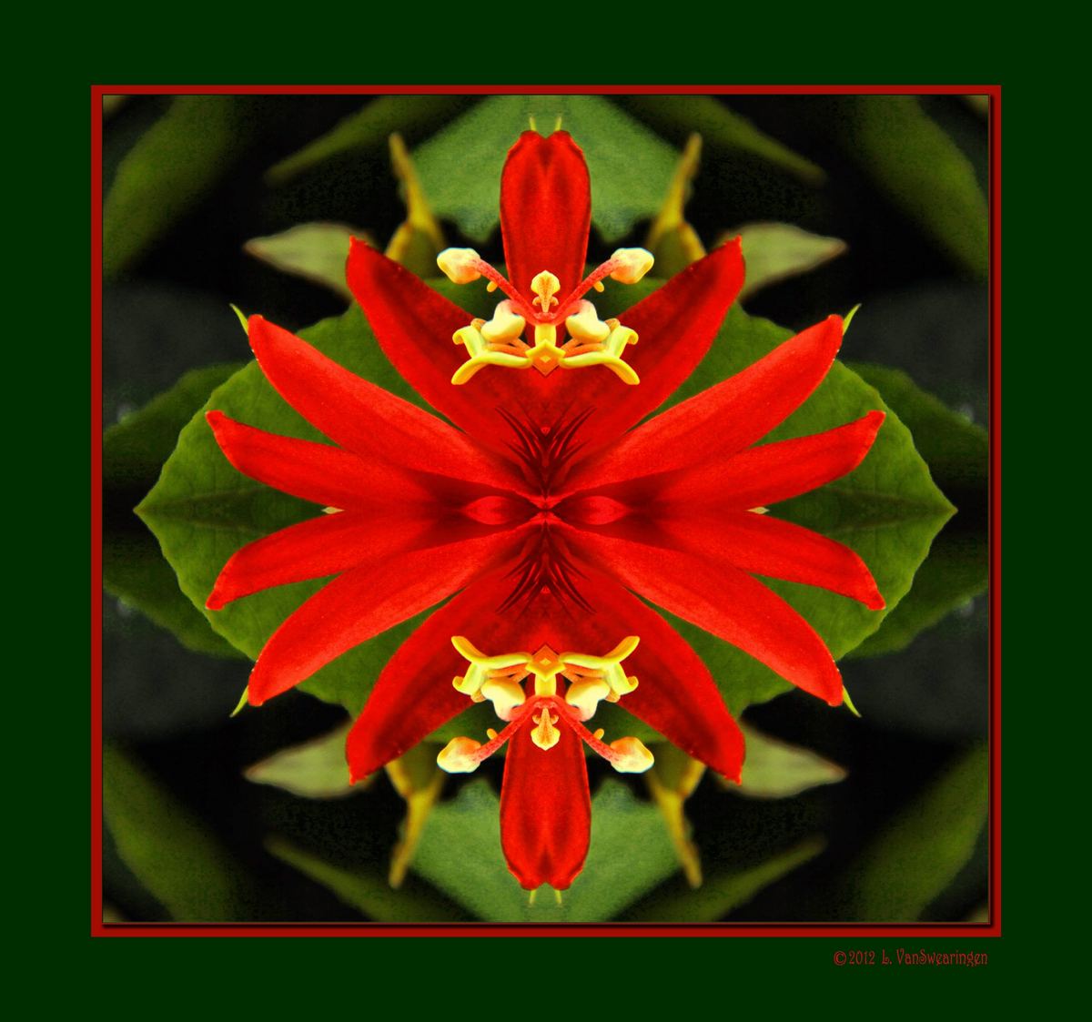 Passionflower mirror