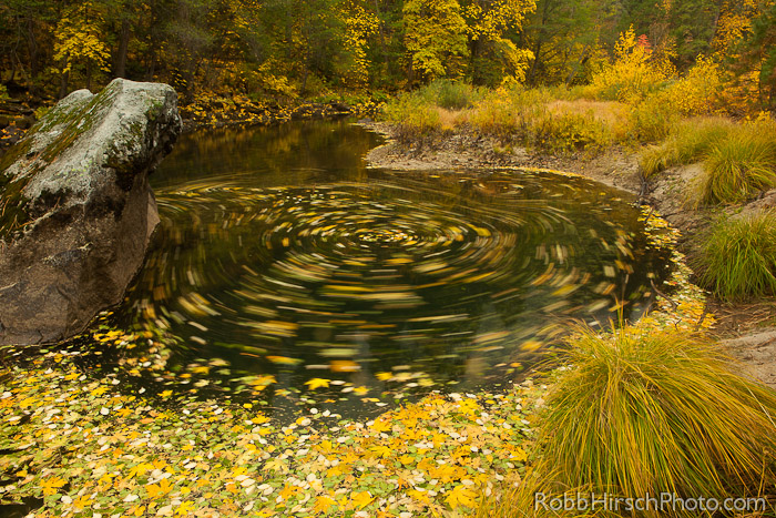 "Fall"en Leaves