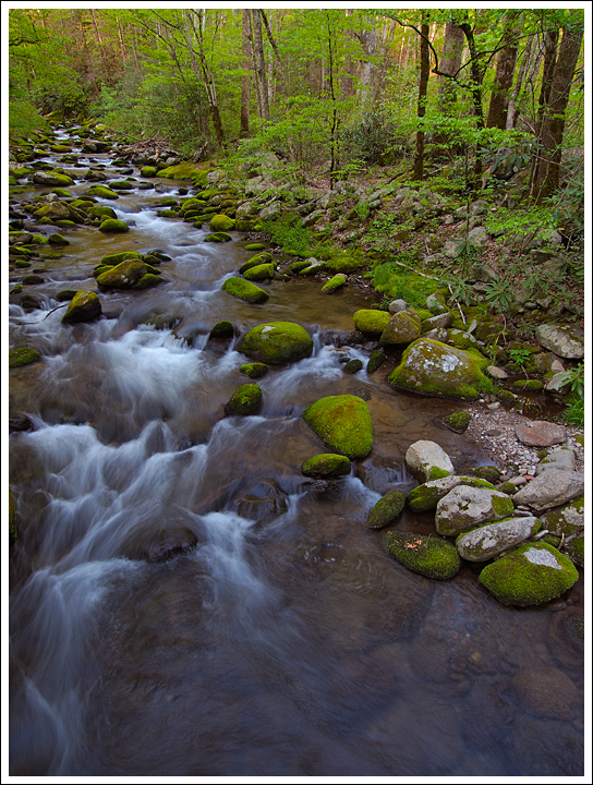 Roaring Fork
