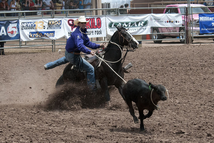 Calf Roping