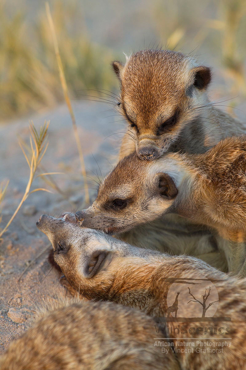 Family time