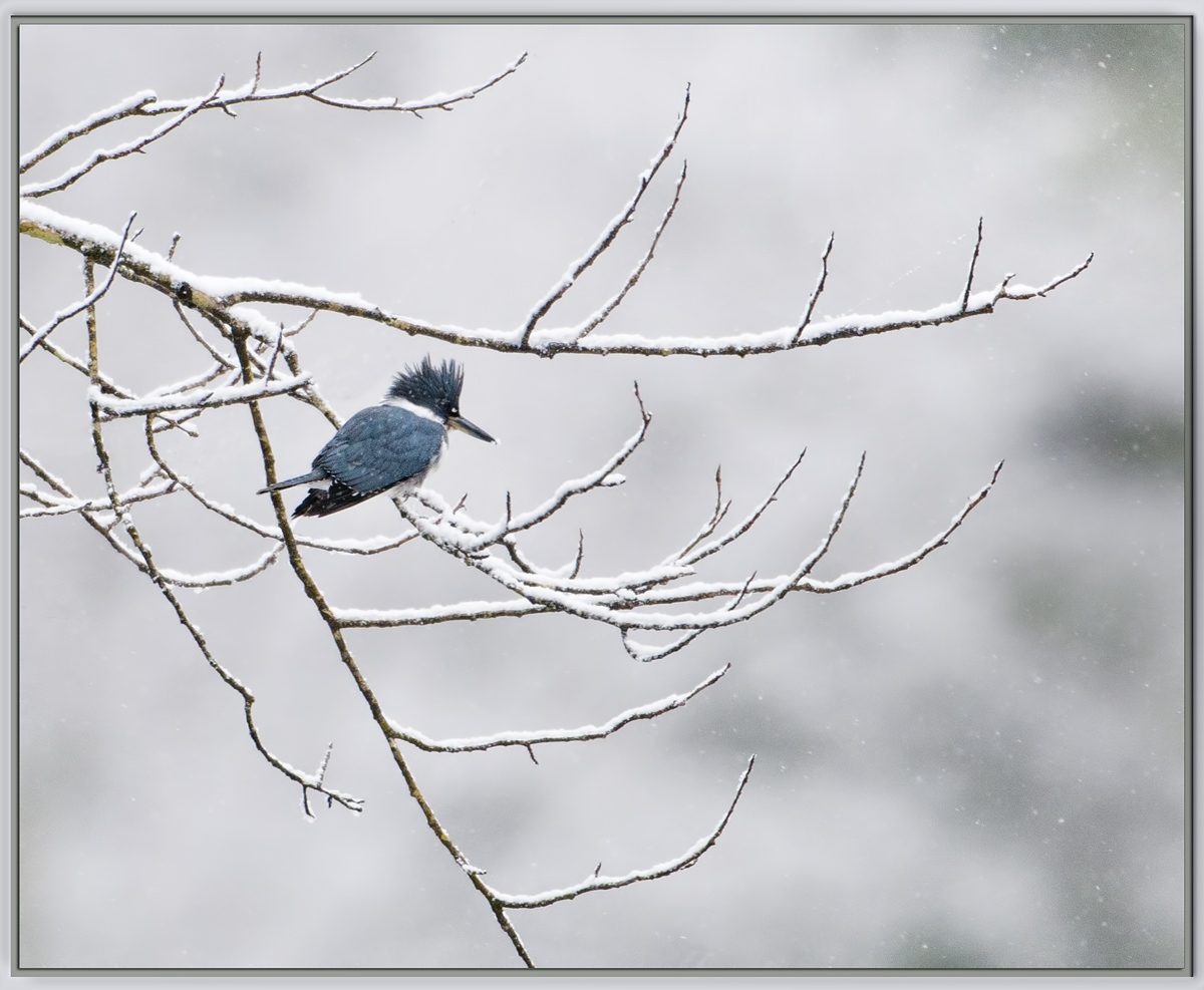Ice Fisher