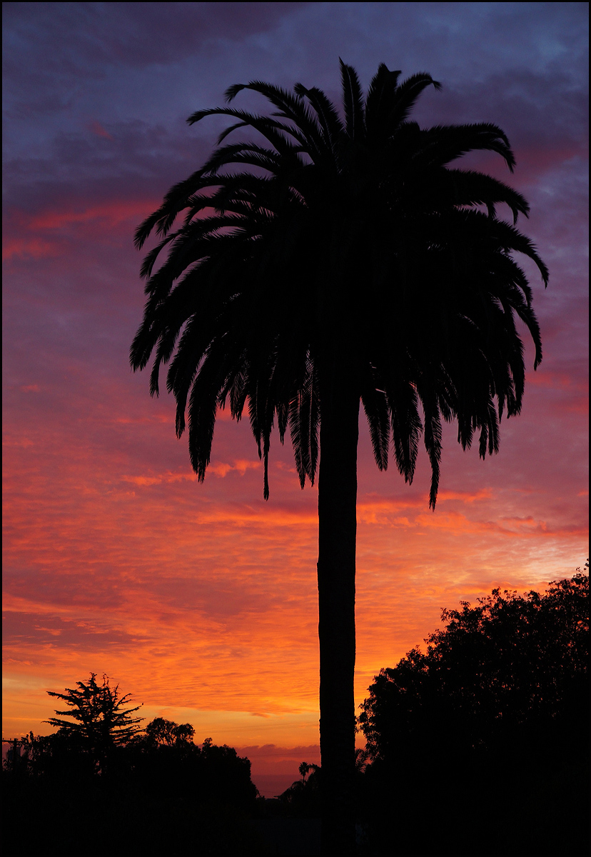 Christmas Sunset #1