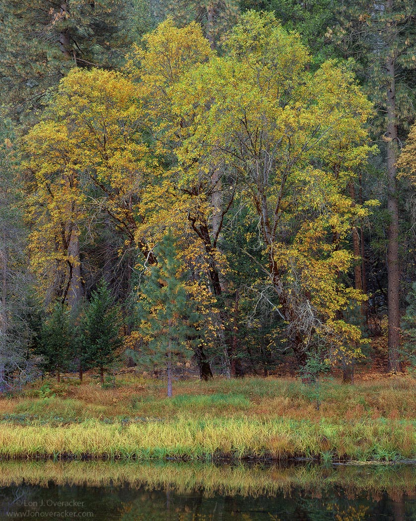 Yosemite Moments #21