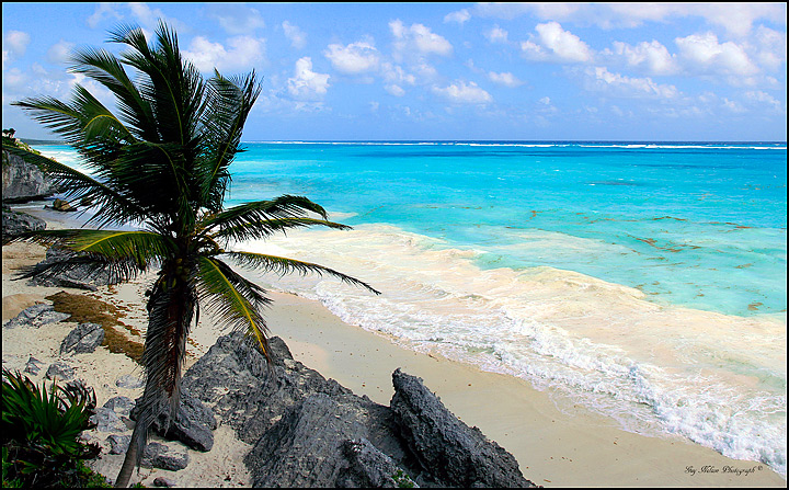 Mayan Beach - 2012