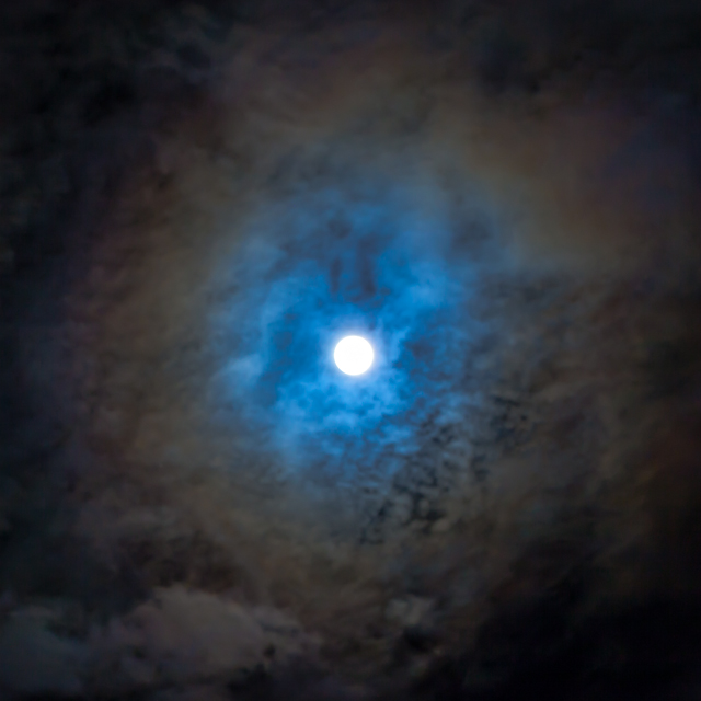 Full Moon in Florida