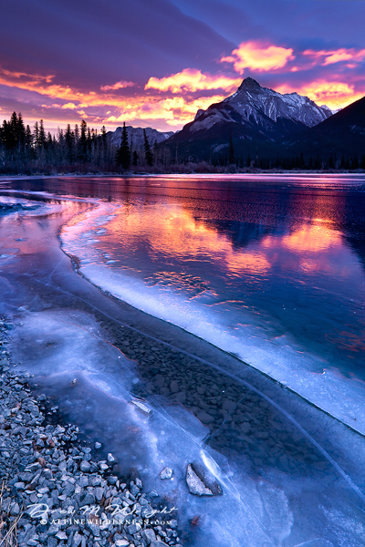 Chasing The Light