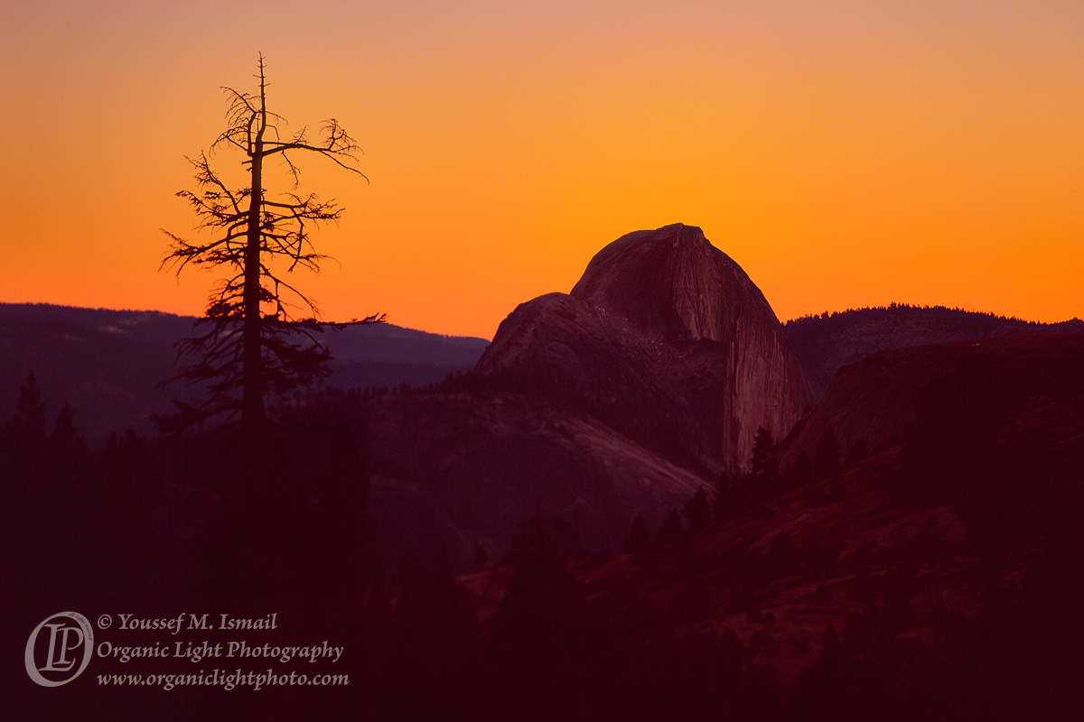 Silent Sunset + Repost