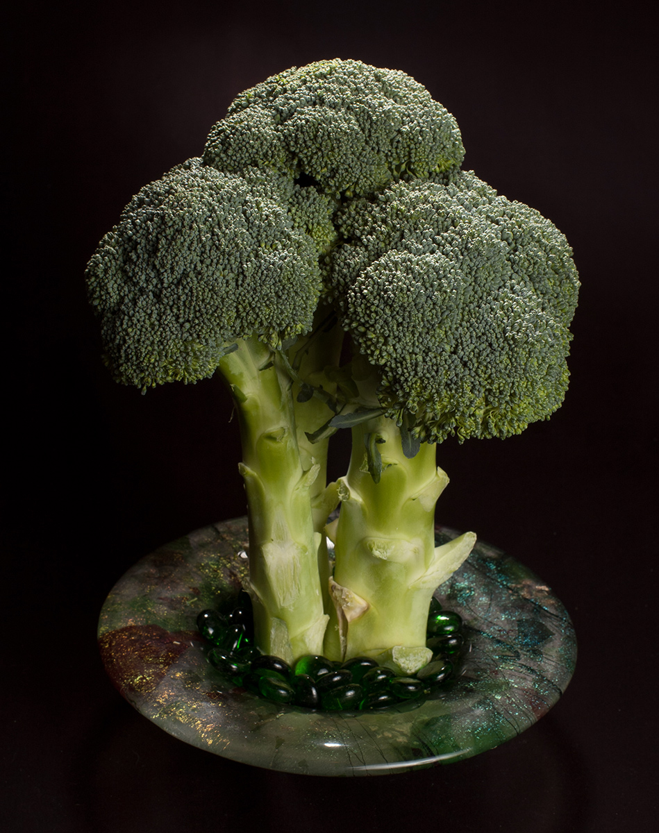 Broccoli Bonzai Ikebana