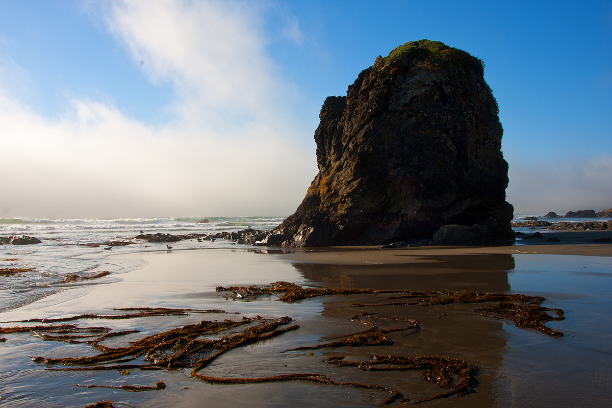 Sea Stack