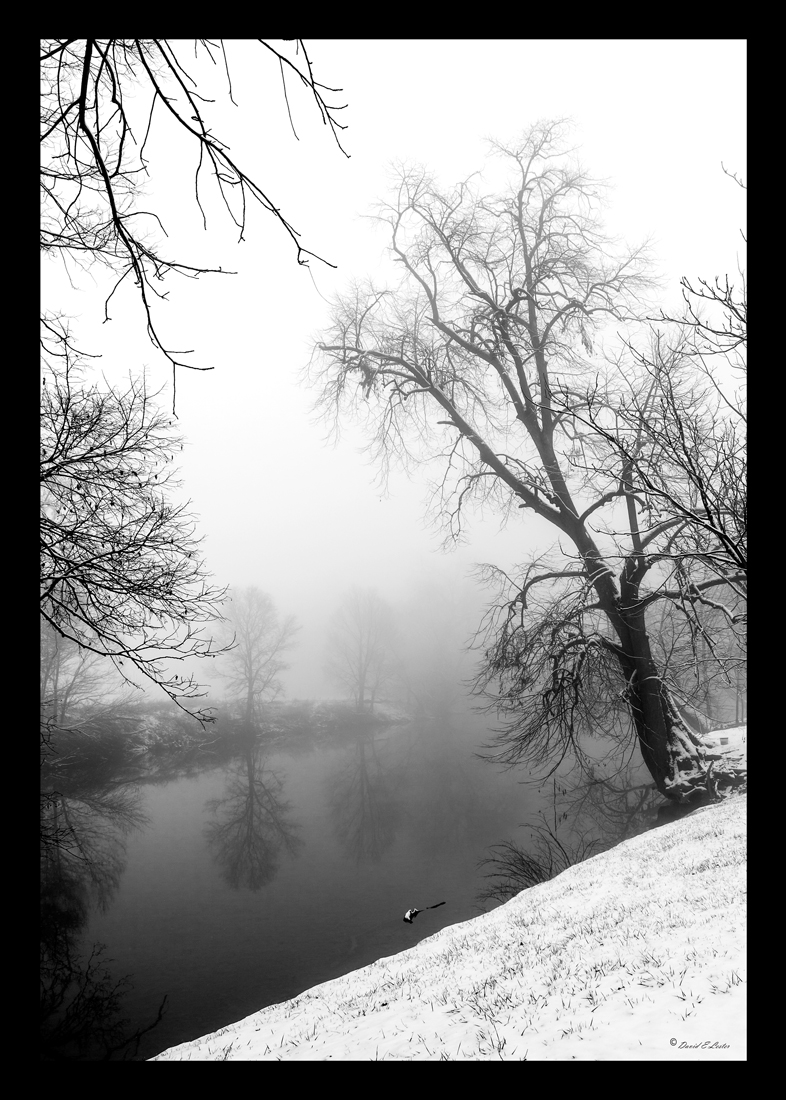 Wintery Fog