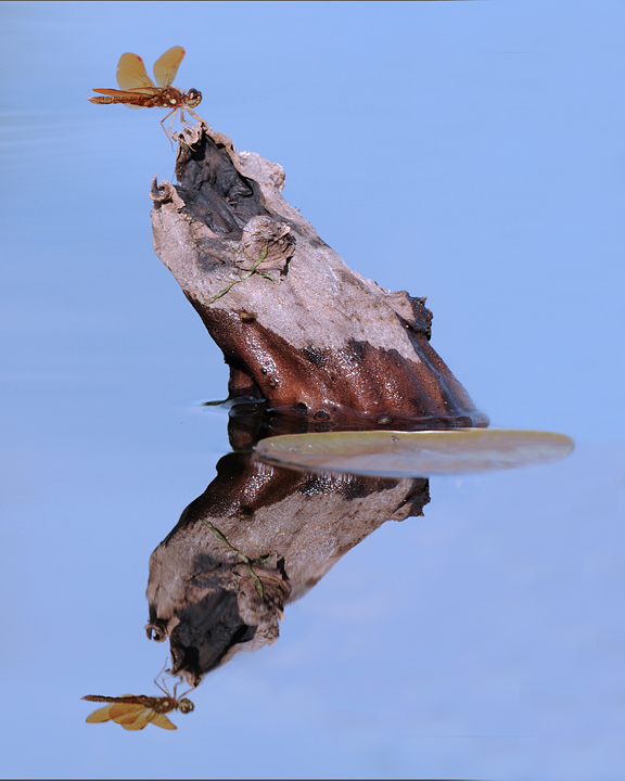 Quiet Waters...