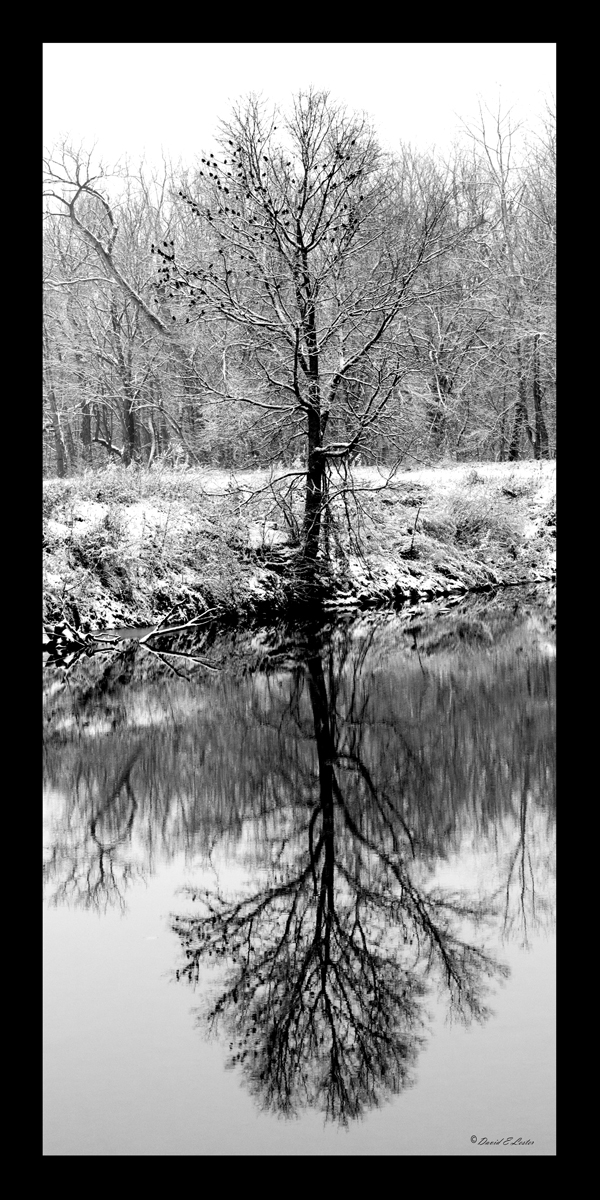 Winter Reflections