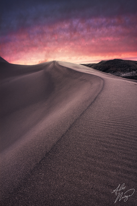 Bruneau Dunes