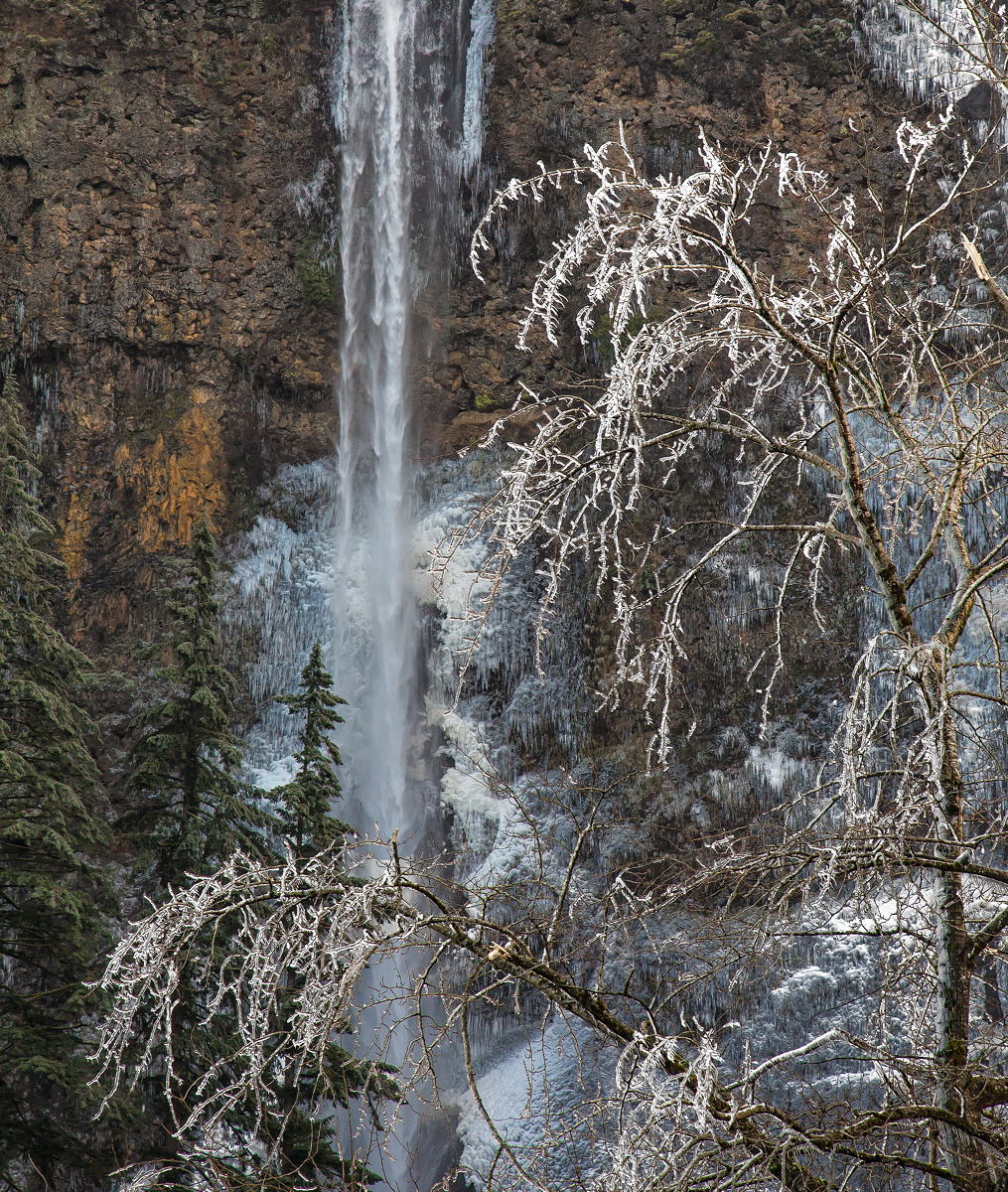 Ice Storm