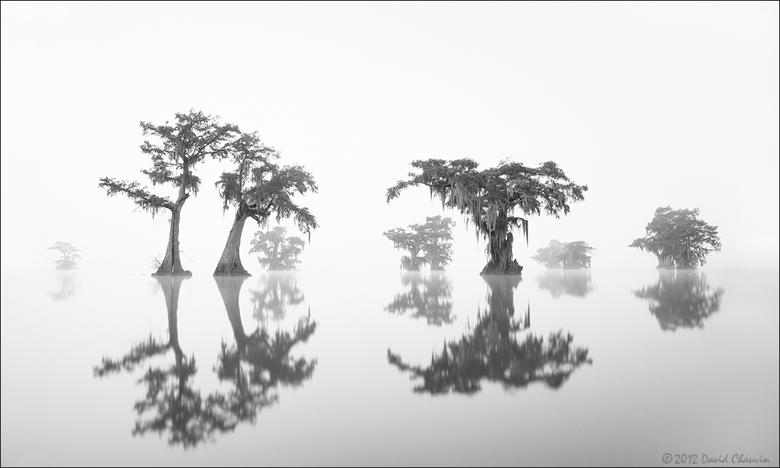 Gray Morning Pano