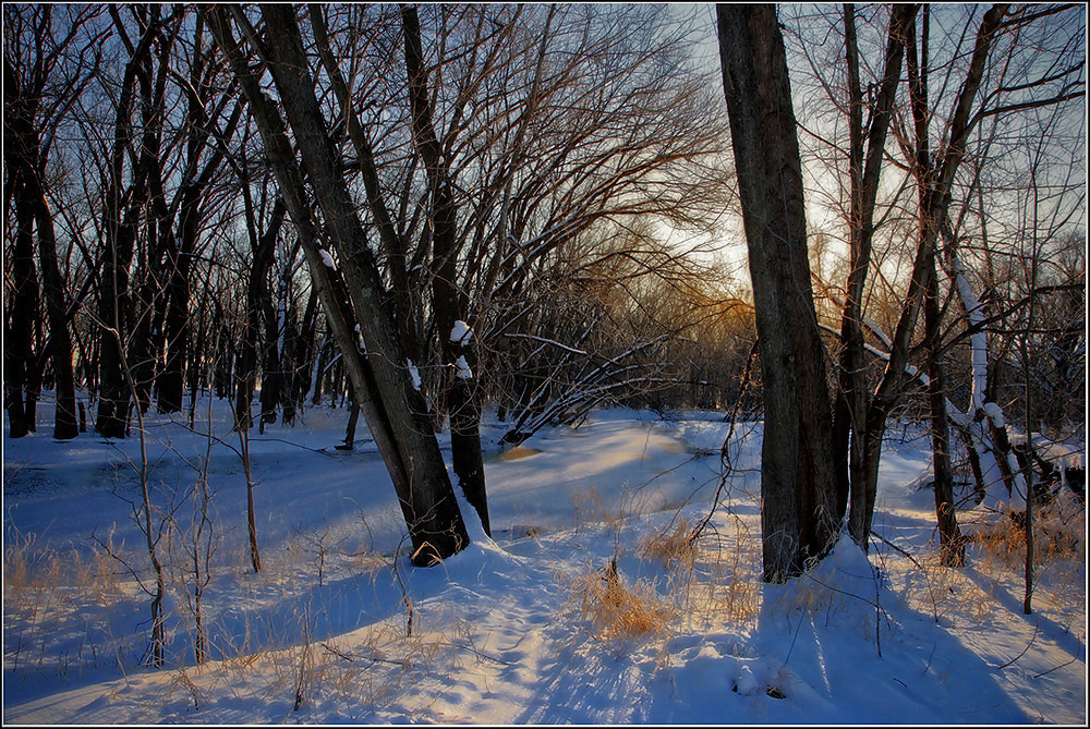 Bear Creek