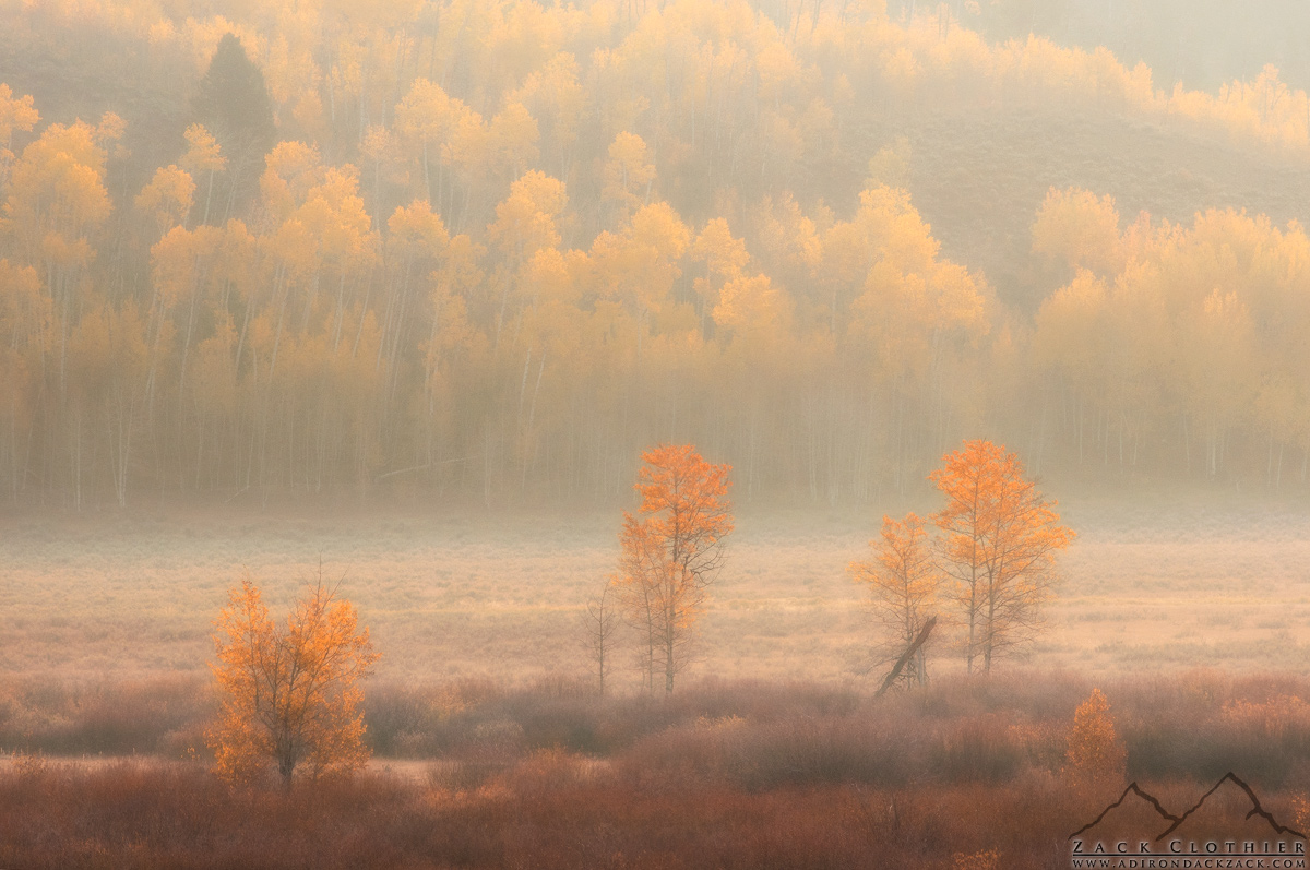 September Morning