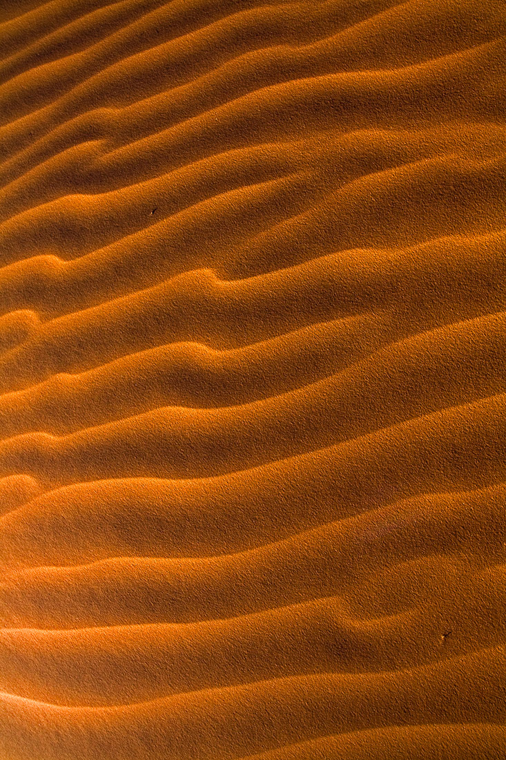Dune forms