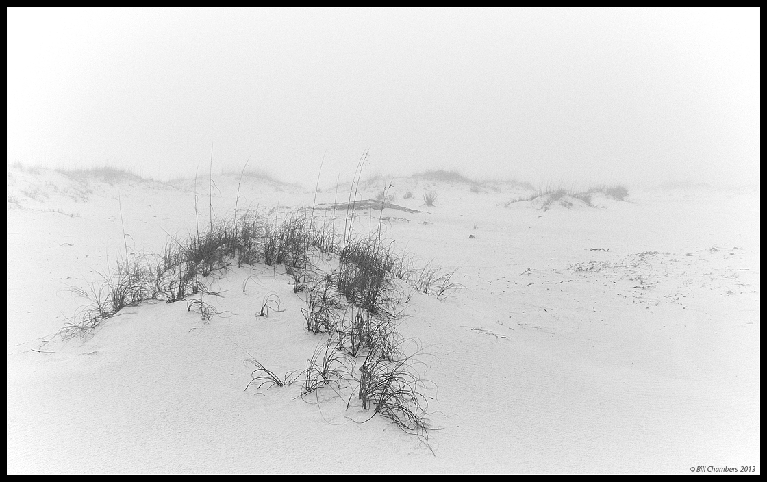 Foggy Dune