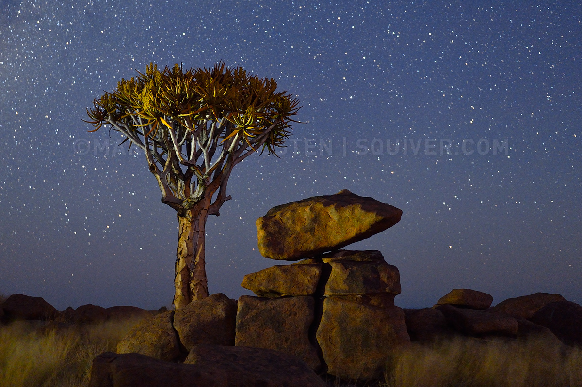 Namibian Nights